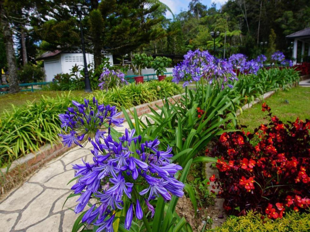 Camlodge Budget Hotel Cameron Highlands Exterior photo