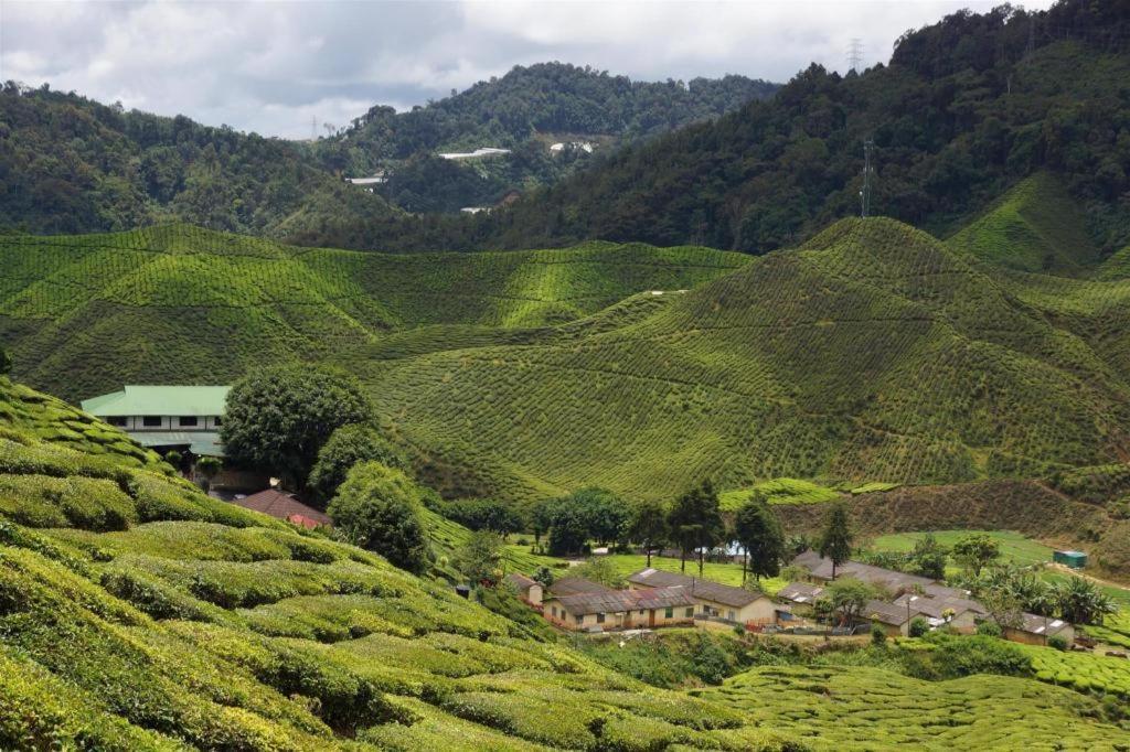 Camlodge Budget Hotel Cameron Highlands Exterior photo