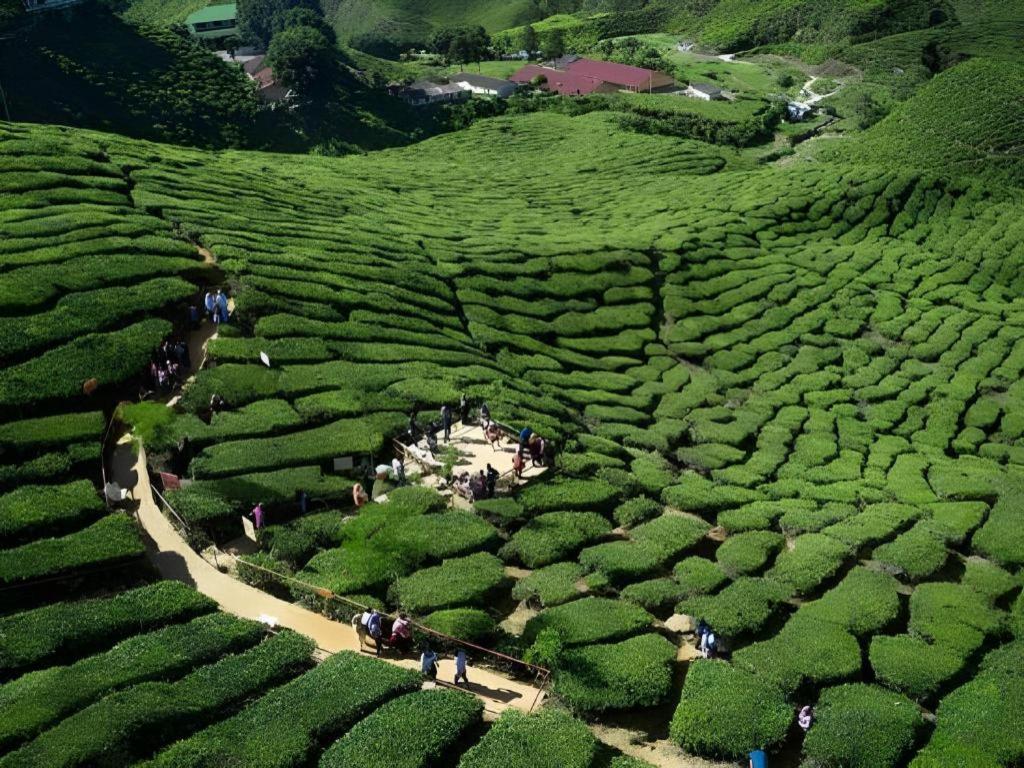 Camlodge Budget Hotel Cameron Highlands Exterior photo